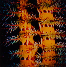 Interlaced 24 thumbnail 