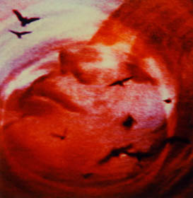 Interlaced 34 thumbnail 