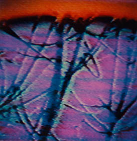 Interlaced 38 thumbnail 