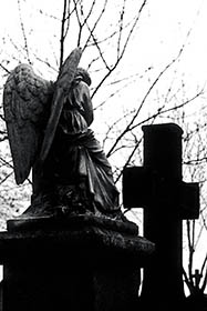 Père Lachaise 5 thumbnail 