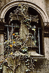 Père Lachaise 42 thumbnail 